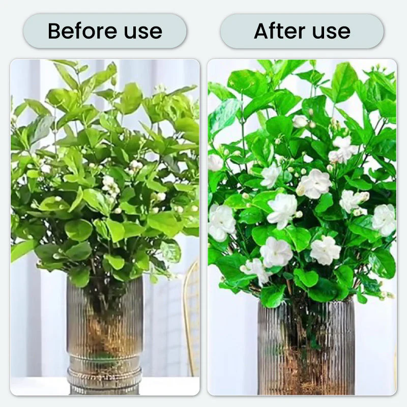 Comprimés effervescents antibactériens puissants pour fleurs - Image 7