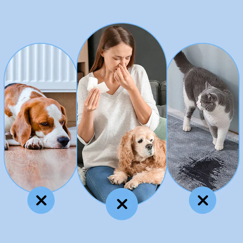 🔥🔥🔥Puissant spray anti - taches désodorisant pour animaux de compagnie🐱🐕 - Image 2