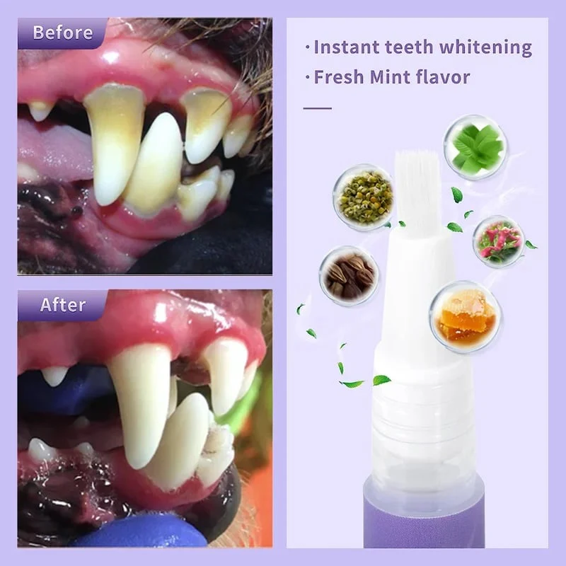 Achetez 1 et obtenez 1 gratuit🌈Gel Réparateur Oral pour Animaux de Compagnie - Image 3
