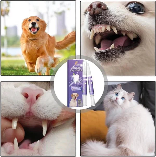 Achetez 1 et obtenez 1 gratuit🌈Gel Réparateur Oral pour Animaux de Compagnie - Image 4