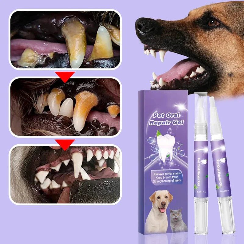 Achetez 1 et obtenez 1 gratuit🌈Gel Réparateur Oral pour Animaux de Compagnie - Image 7