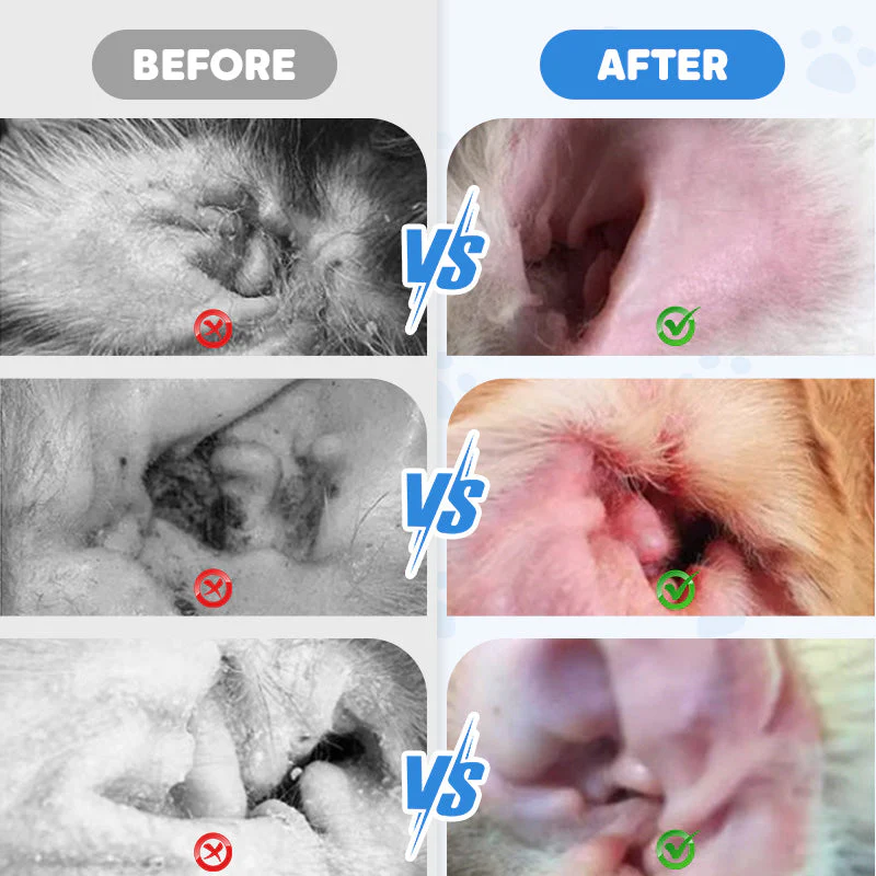 📢📢Achetez-en 2 obtenez-en 1 gratuit🔥🔥Nettoyant pour oreilles pour chiens et chats - Image 3