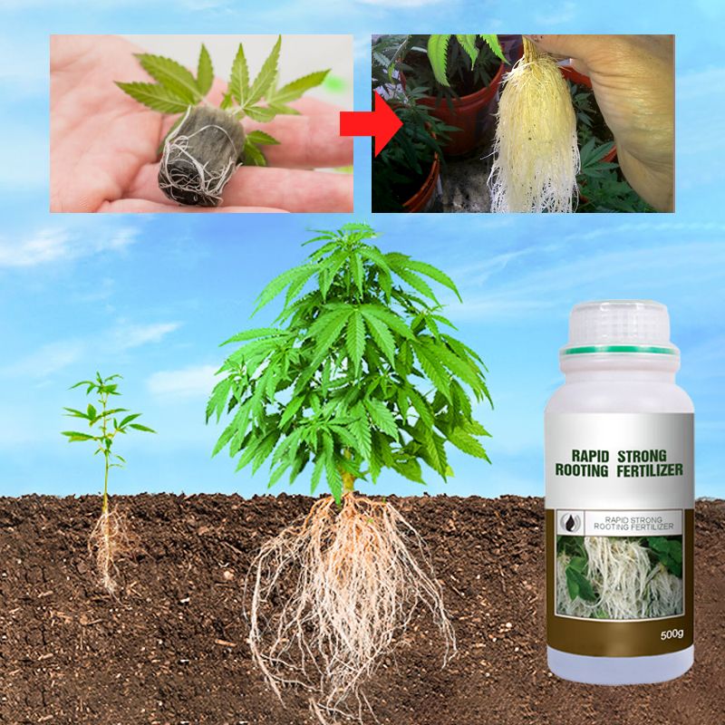 🌿 Stimulez la Croissance de Vos Plantes – Engrais Spécial Racines avec Offre 2 + 1 Gratuit ! 🌱💧 - Image 3