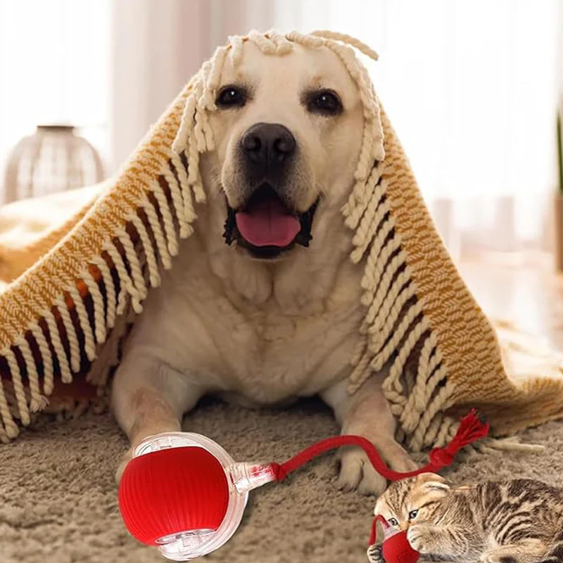 🐱Boule Roulante Automatique Intelligente pour Animaux de Compagnie🎈 - Image 11