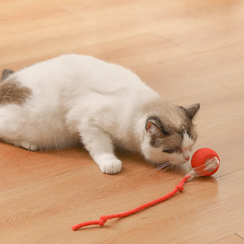🐱Boule Roulante Automatique Intelligente pour Animaux de Compagnie🎈 - Image 3