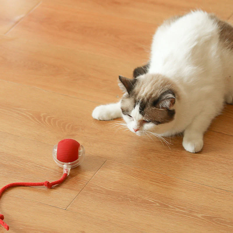 🐱Boule Roulante Automatique Intelligente pour Animaux de Compagnie🎈 - Image 4