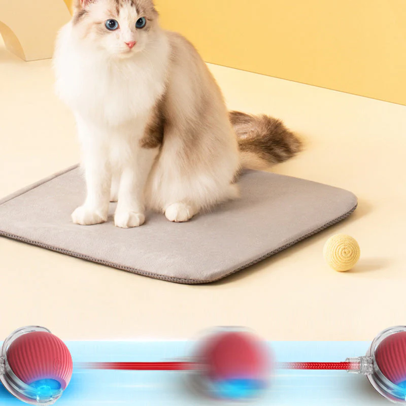 🐱Boule Roulante Automatique Intelligente pour Animaux de Compagnie🎈 - Image 5
