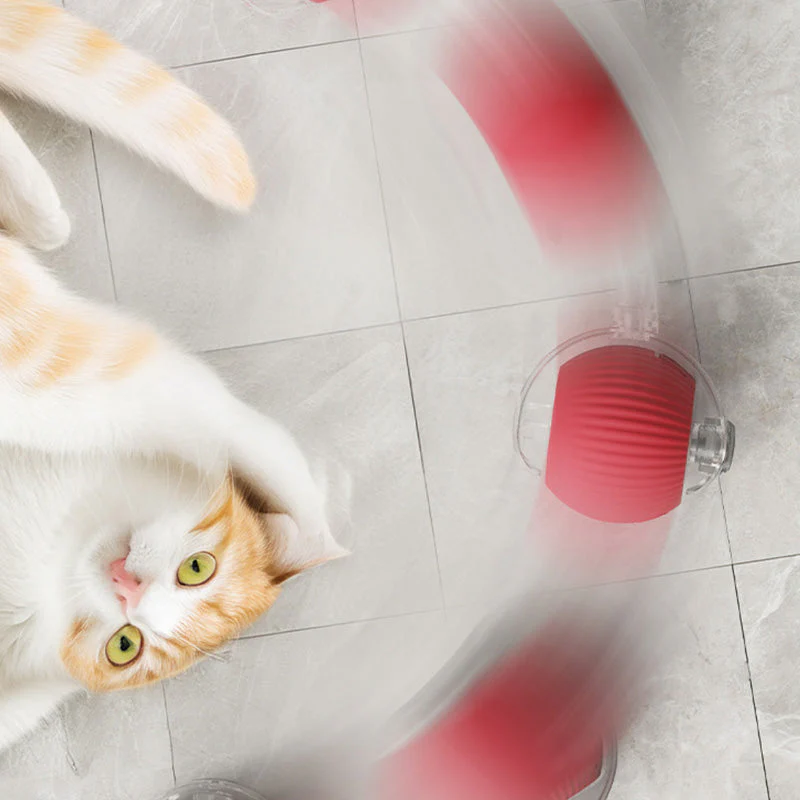 🐱Boule Roulante Automatique Intelligente pour Animaux de Compagnie🎈 - Image 8
