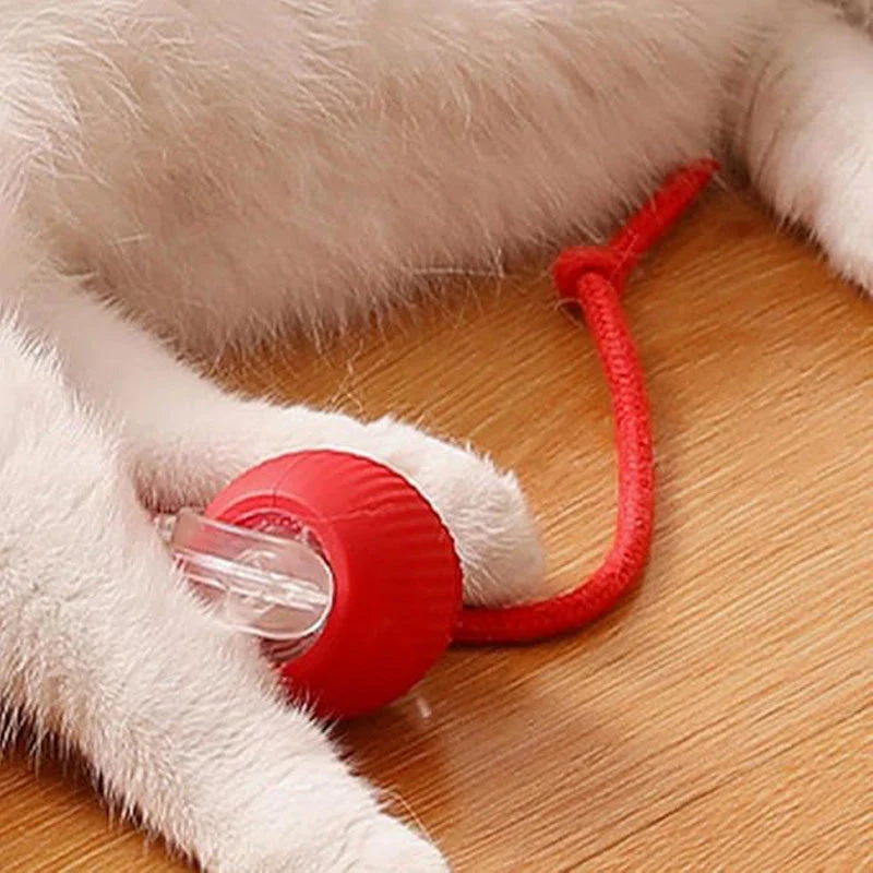 🐱Boule Roulante Automatique Intelligente pour Animaux de Compagnie🎈 - Image 9