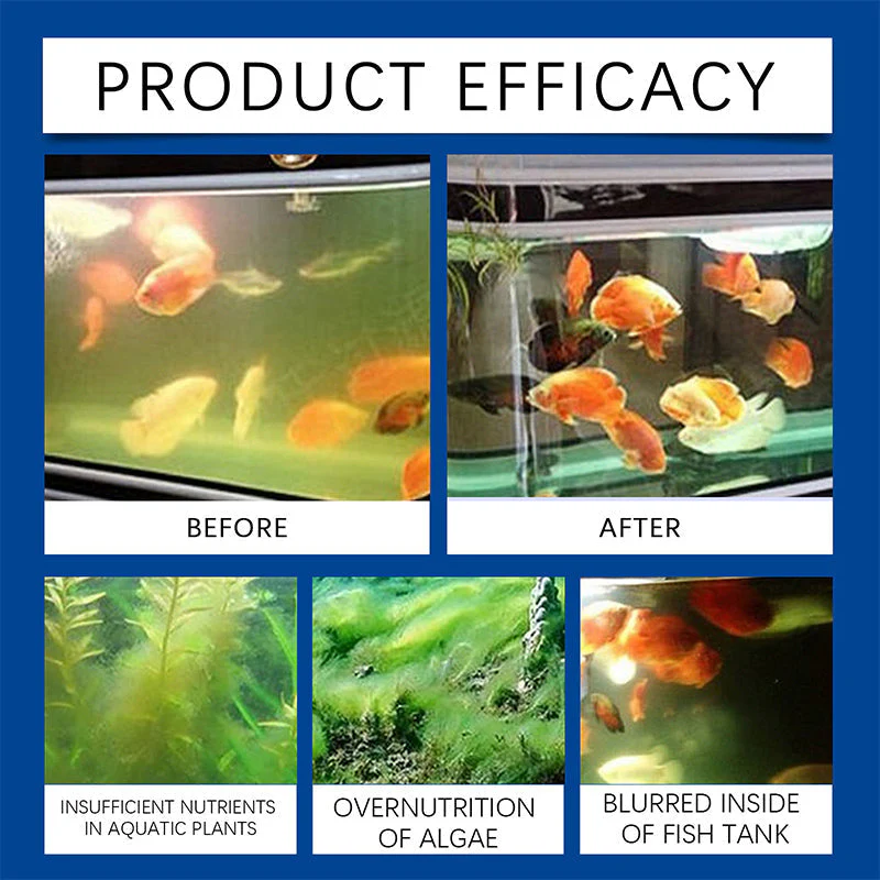 📢Achetez 3 Obtenez 5 gratuit ✨💧 Nettoyant Puissant pour l'Eau des Aquariums🐟 - Image 4