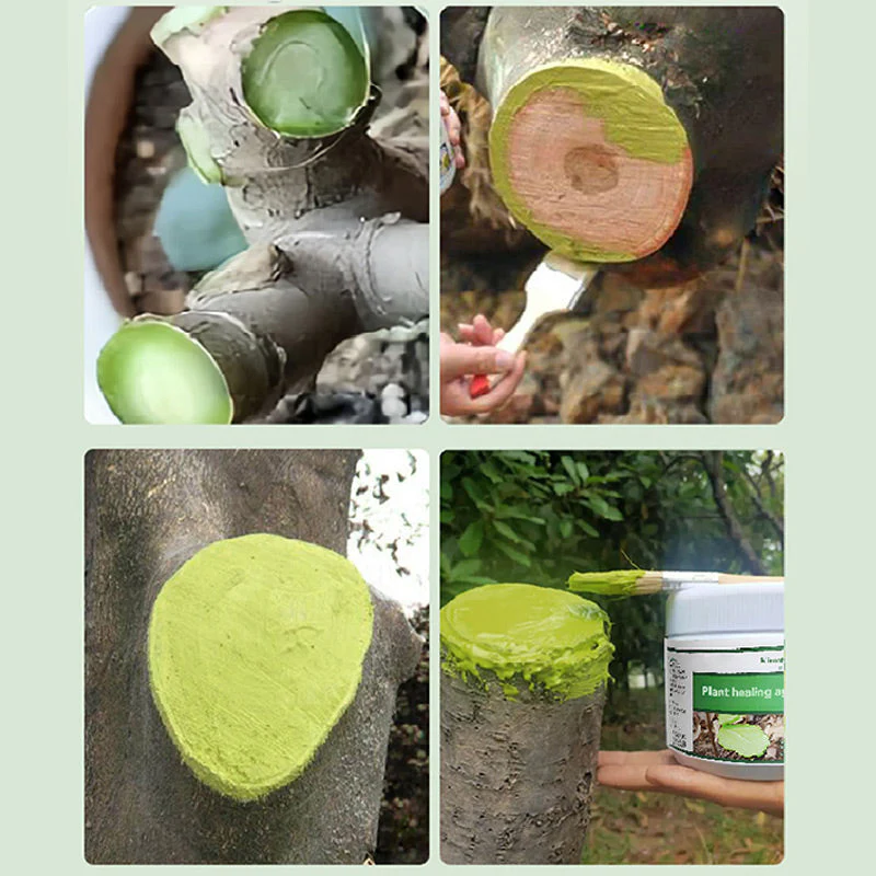 Trees & Plants Wound Healing Agent Set with Brush - Image 6