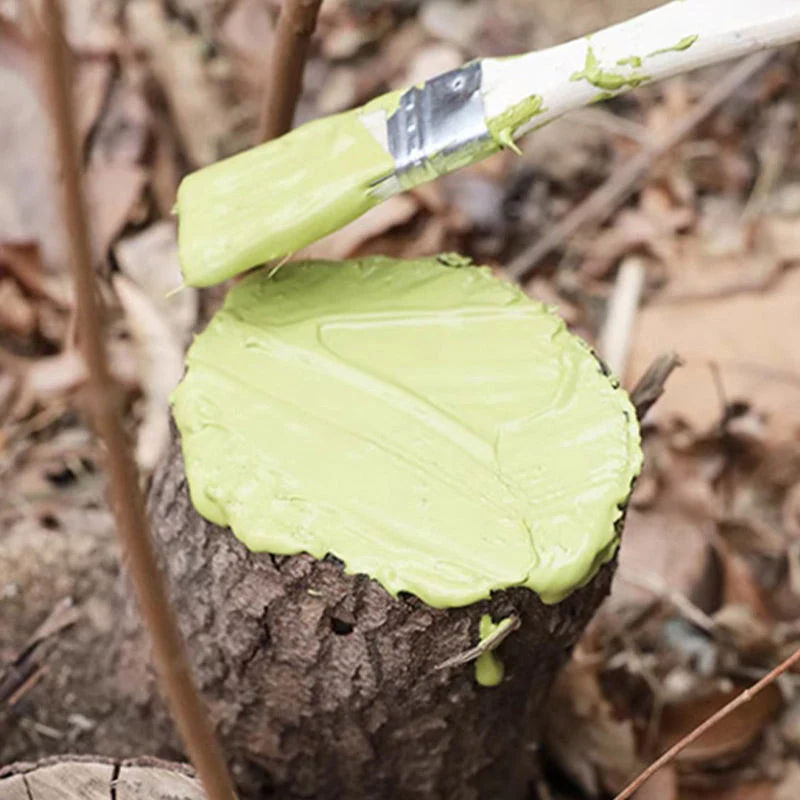 Trees & Plants Wound Healing Agent Set with Brush - Image 8