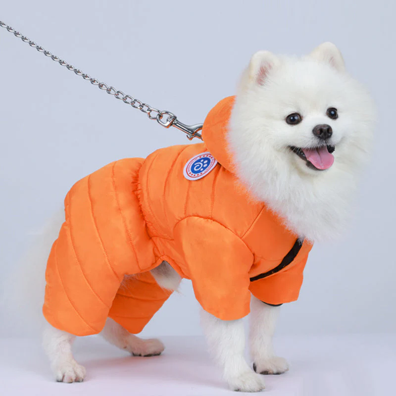 📢📢50 % de réduction !!!🎅🎄 Combinaison Hiver pour Chien - Polaire Douce & Fermeture Éclair, Idéale pour Garder Votre Animal au Chaud ✨ - Image 3