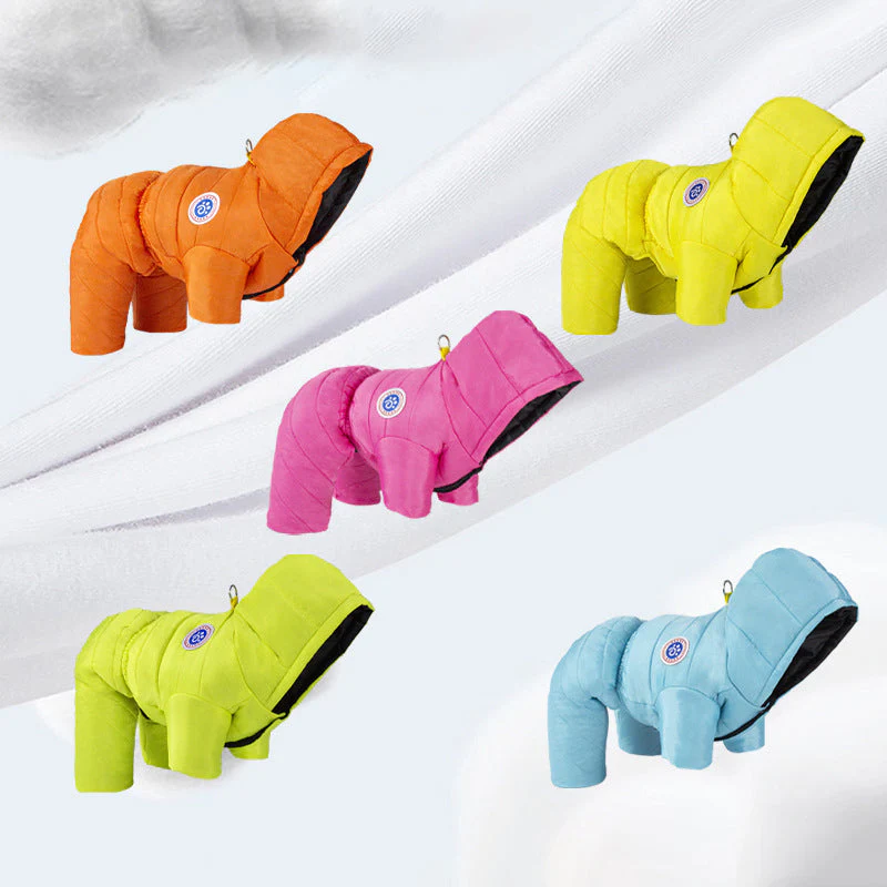 📢📢50 % de réduction !!!🎅🎄 Combinaison Hiver pour Chien - Polaire Douce & Fermeture Éclair, Idéale pour Garder Votre Animal au Chaud ✨ - Image 5
