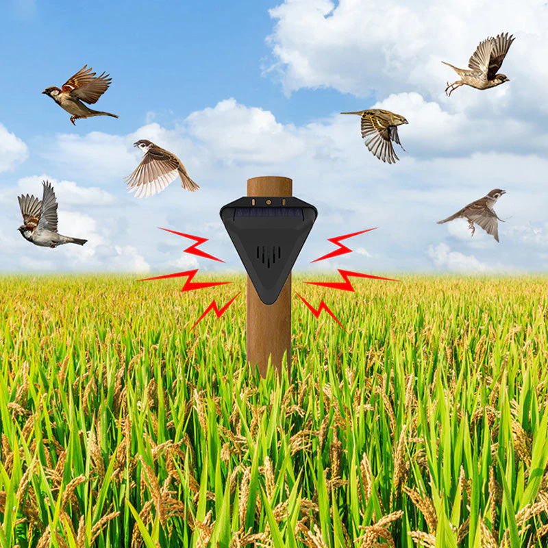 🕊️✨Répulsif solaire anti-oiseaux d'extérieur étanche⏳50% de réduction pour une durée limitée 🎁 - Image 12