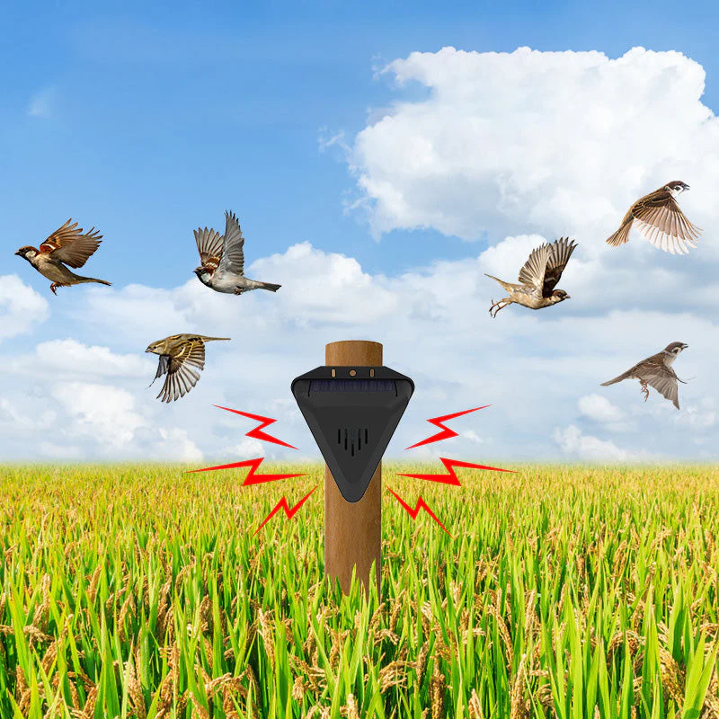🕊️✨Répulsif solaire anti-oiseaux d'extérieur étanche⏳50% de réduction pour une durée limitée 🎁 - Image 7