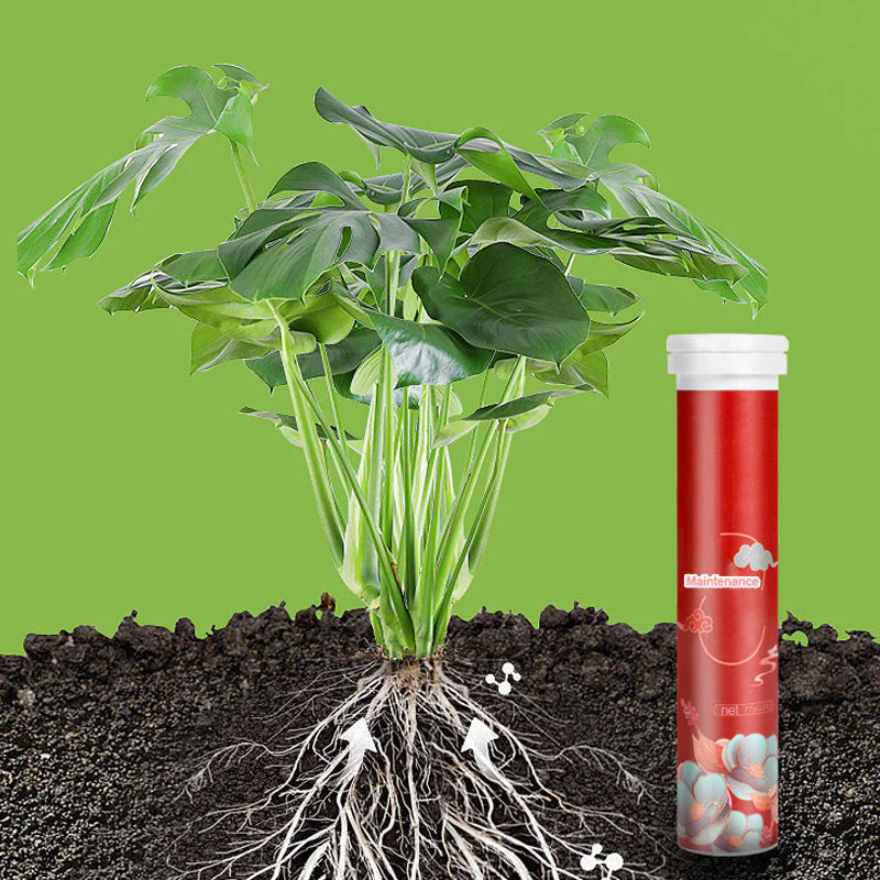 🍃Achetez-en 5 obtenez-en 5 gratuitement🌵🌸Comprimés nutritionnels universels vitalité pour la croissance des plantes