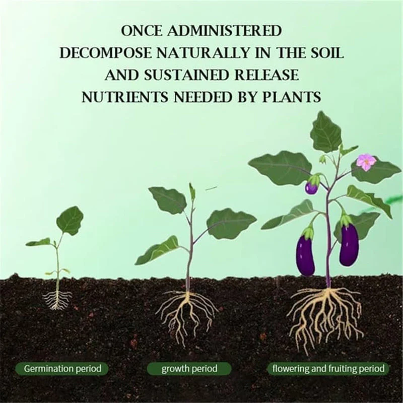 🍃Achetez-en 5 obtenez-en 5 gratuitement🌵🌸Comprimés nutritionnels universels vitalité pour la croissance des plantes - Image 5