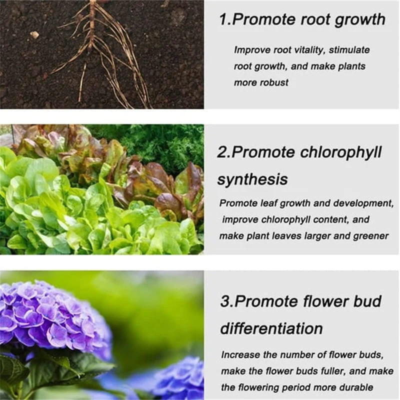 🍃Achetez-en 5 obtenez-en 5 gratuitement🌵🌸Comprimés nutritionnels universels vitalité pour la croissance des plantes - Image 7